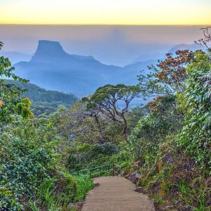Walking path from Adams peak at sunrise, Sri Lanka Print Walking path from Adams peak at sunrise, Sri Lanka Print