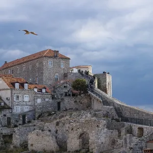 Paseo hacia la fortaleza de piedra iluminada por el sol de Dubrovnik con paisaje nuboso dramático y gaviota volando sobre ella, Croacia.