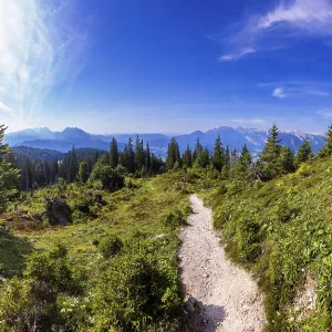 Wanderweg durch einen Gebirgswald zum Gipfel des Taborberg mit Blick zum Tennengebirge und Gosaukamm