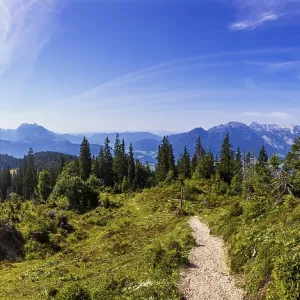 Wanderweg durch einen Gebirgswald zum Gipfel des Taborberg mit Blick zum Tennengebirge und Gosaukamm Wanderweg durch einen Gebirgswald zum Gipfel des Taborberg mit Blick zum Tennengebirge und Gosaukamm