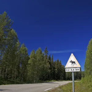Warning sign Moose crossing the roadway Warning sign Moose crossing the roadway