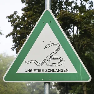 Warning sign, non-poisonous snakes Warning sign, non-poisonous snakes