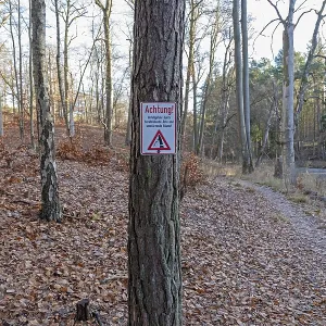 Warning sign warns of risk of accidents due to falling branches and falling trees