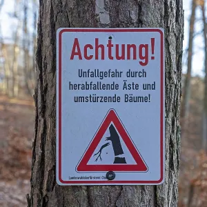 Warning sign warns of risk of accidents due to falling branches and falling trees