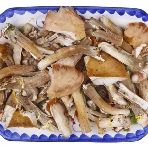Waste and garbage of shitake real forest tree mushrooms on clay plate