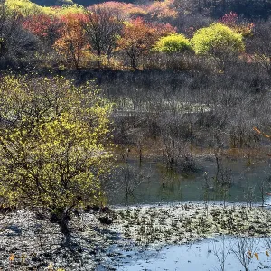 Water on floor of mountain valley with trees in autumn colors in background