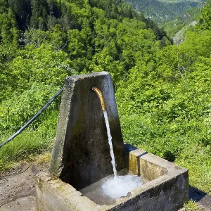 Water flows from a rustic well with a green forested mountain backdrop