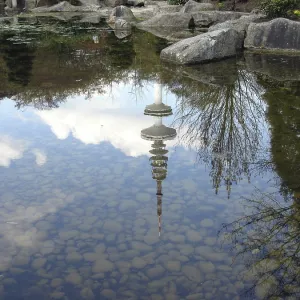Water reflection in the pond Water reflection in the pond