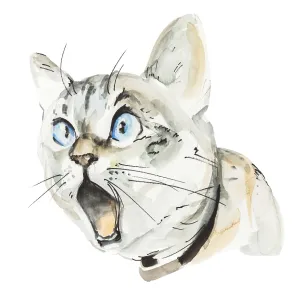Watercolor head of screaming cat isolated on white background