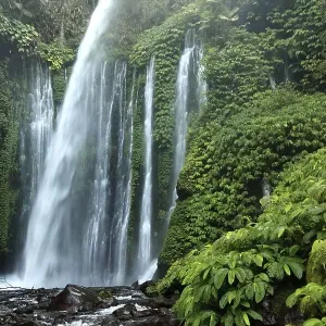 Waterfall in the jungle, Senaru
