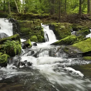 Waterfall, mountain stream Selke Waterfall, mountain stream Selke