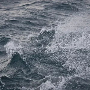 Waves and spray, Isfjorden, Spitsbergen Waves and spray, Isfjorden, Spitsbergen