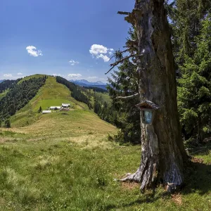 Wayside shrine with view to Oberwiesalm and Loibersbacher Hoehe Wayside shrine with view to Oberwiesalm and Loibersbacher Hoehe