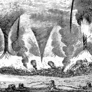 How whirlwinds arise over burning cane bushes