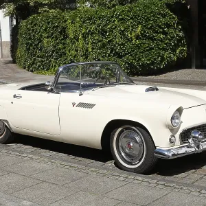 Vintage Ford Thunderbird Print, Germany Vintage Ford Thunderbird Print, Germany