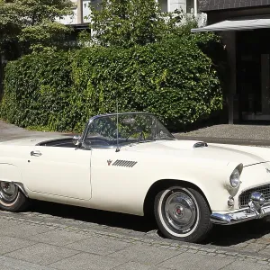 Vintage Ford Thunderbird Print Vintage Ford Thunderbird Print
