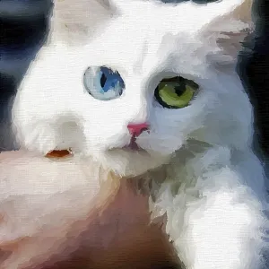 White cat on mother hands backgroun digital art painted image