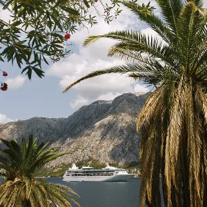 White cruise liner against the backdrop of rocky mountains White cruise liner against the backdrop of rocky mountains