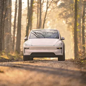 White electric car driving on a tree-lined forest path in soft sunlight White electric car driving on a tree-lined forest path in soft sunlight