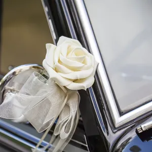 White rose on the mirror of a classic car White rose on the mirror of a classic car