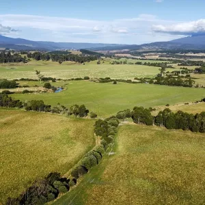 Wide green fields under a cloudy blue sky with mountains in the background Wide green fields under a cloudy blue sky with mountains in the background