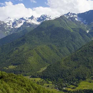 Wide green valley with snow-covered mountains in the background under clear sky