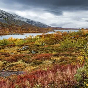 Wide landscape, Fjaell with colourful vegetation in autumn Wide landscape, Fjaell with colourful vegetation in autumn