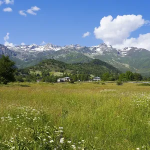 Wide meadow landscape with views of mountains and cloudy blue sky