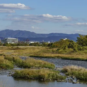 Wide river surrounded by greenery Wide river surrounded by greenery