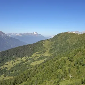 Wide view of forest and mountain ranges Wide view of forest and mountain ranges