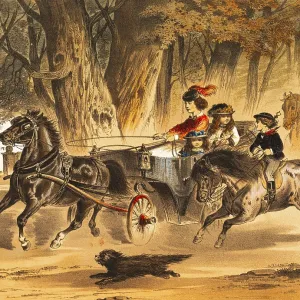 Wild ride with the open horse-drawn carriage