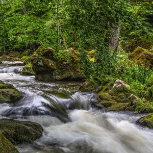 A wild river flows through a mossy forest surrounded by stones and trees A wild river flows through a mossy forest surrounded by stones and trees