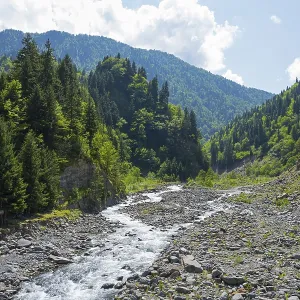 Wild stream flows through a stony forest path surrounded by green mountains under a blue sky