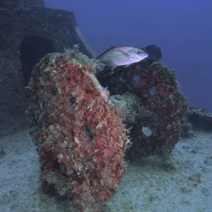 Winch on the wreck of the USS Spiegel Grove Winch on the wreck of the USS Spiegel Grove