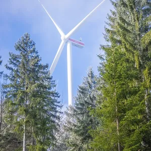 Wind turbine towering into the sky between green trees Wind turbine towering into the sky between green trees