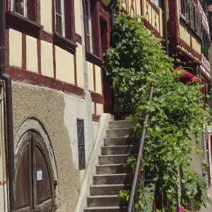 Winding alley with half-timbered buildings