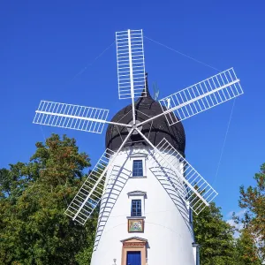 Windmill, wedding mill Lady Devorgilla Windmill, wedding mill Lady Devorgilla