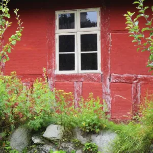 Window in red wall of half-timbered house with thatched roof in Den gamle by
