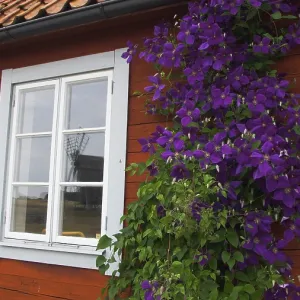 Window with reflection, Island Oland, Sweden