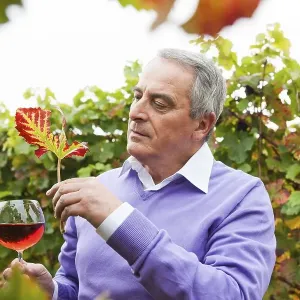 Winemaker or vintner holding a glass of wine in his vineyard