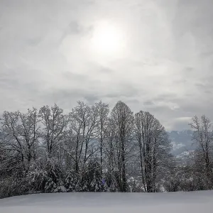 Winter Landscape Print: Leoben, Styria, Austria Winter Landscape Print: Leoben, Styria, Austria