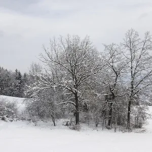 Winter Landscape Print: Leoben, Austria Winter Landscape Print: Leoben, Austria