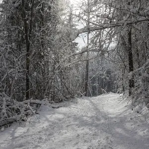 Winter Landscape Print - Leoben, Styria, Austria Winter Landscape Print - Leoben, Styria, Austria