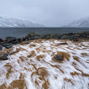 In winter at the coast, Fjord Sjorfjorden In winter at the coast, Fjord Sjorfjorden