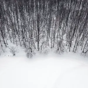 Winter forest from above. Aerial view forest and snow Winter forest from above. Aerial view forest and snow