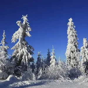 Winter landscape in the Fichtelgebirge Winter landscape in the Fichtelgebirge