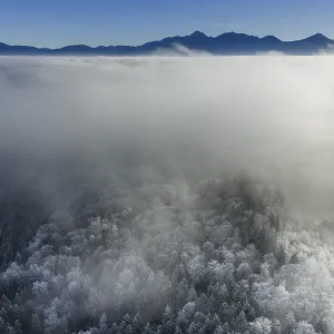 Winter landscape, fog, high fog