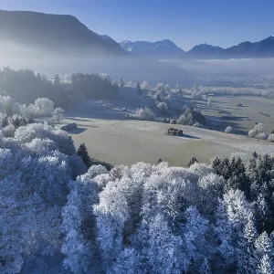 Winter landscape, fog, high fog