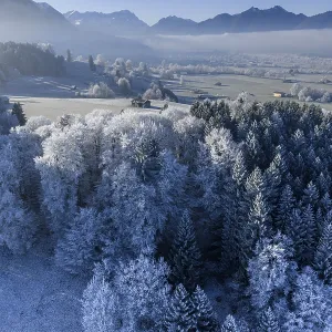 Winter landscape, fog, high fog