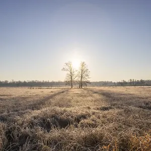 Winter landscape in frost at sunrise Winter landscape in frost at sunrise